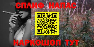 гашик Туймазы