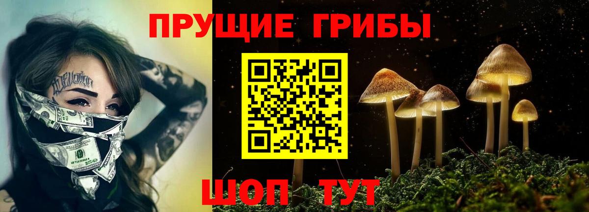 Можга  Псилоцибиновые грибы GOLDEN TEACHER  Вход с VPN  Галлюциногенные грибы GOLDEN TEACHER 