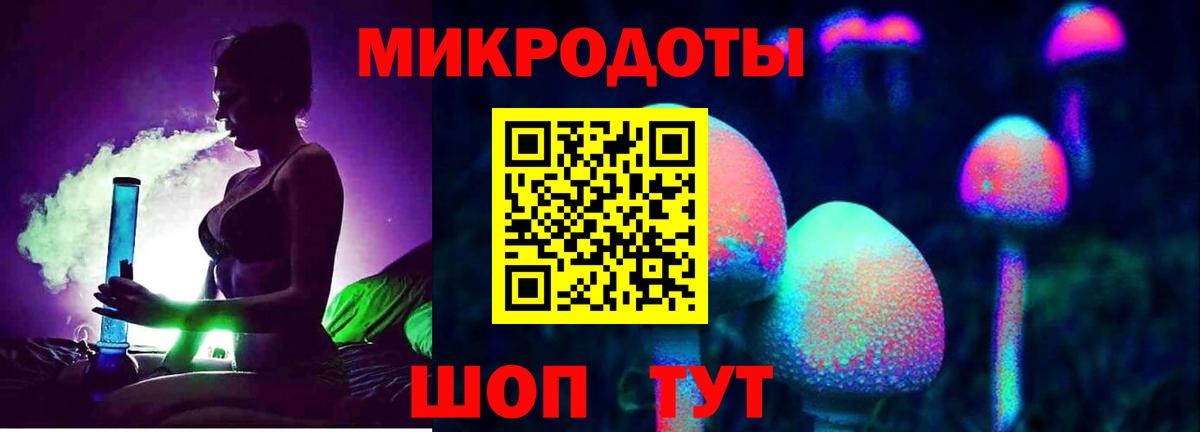 Псилоцибиновые грибы MAGIC MUSHROOMS Можга