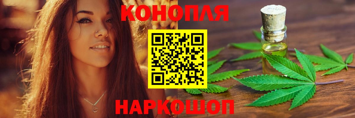 Бошки Шишки план Можга